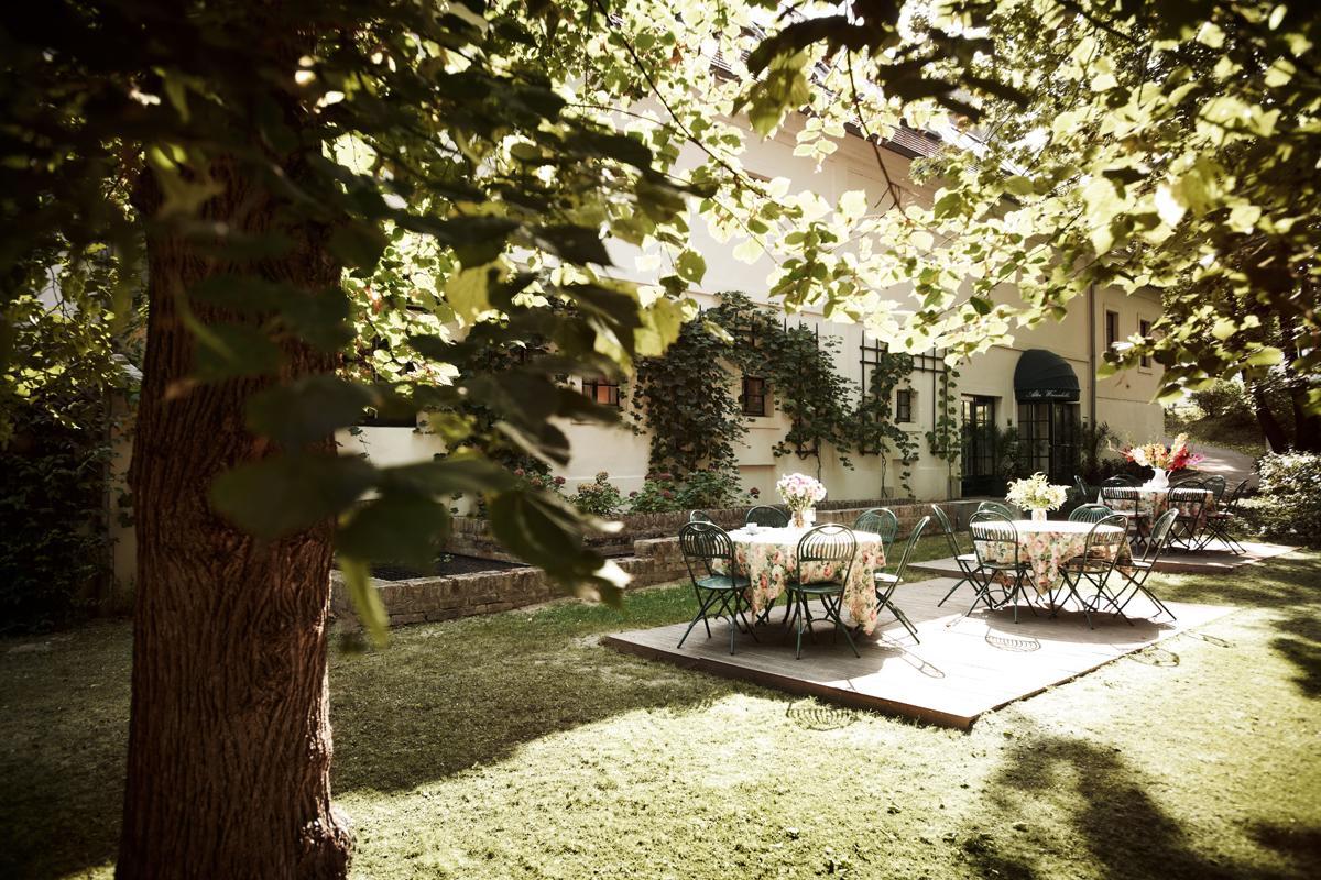 Kirchberg am Wagram Alter Winzerkeller Bed & Breakfast エクステリア 写真